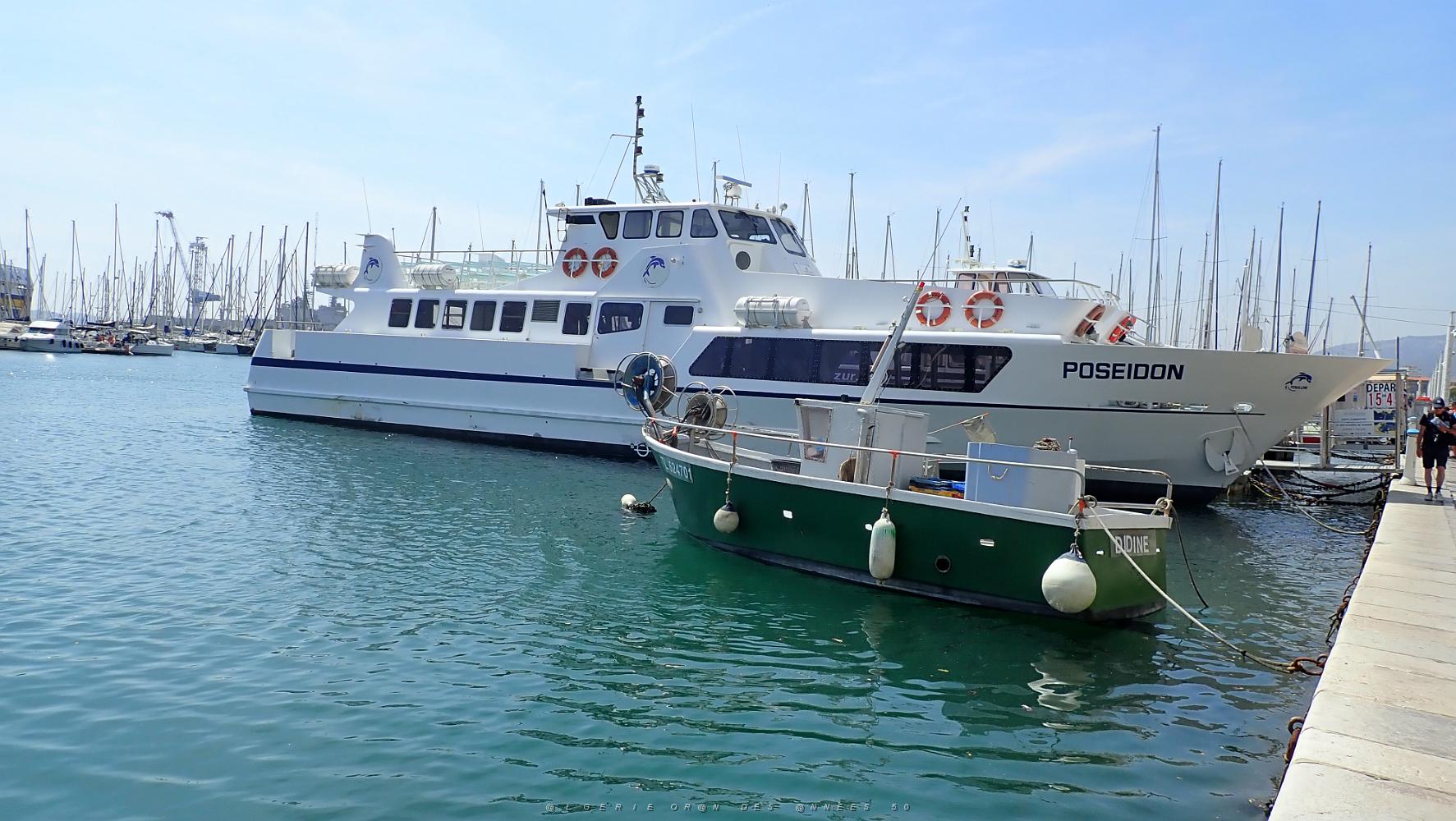 13 Toulon son port et les bateaux de plaisance..JPG